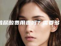 玻尿酸费用贵吗?需要多少费用?