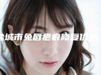 盐城市兔唇疤痕修复价格收费表真人案例与2025全新-近8个月均价为88124元