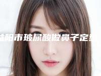益阳市玻尿酸做鼻子定型医院哪家哪家实力棒-玻尿酸做鼻子定型手术有哪些费用贵不贵