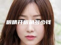 眼睛开眼角多少钱