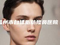 福州市自体脂肪隆鼻医院在榜清单top10这几个不容错过(福州市自体脂肪隆鼻整形医院)