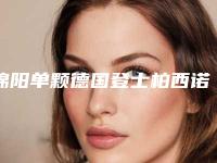 绵阳单颗德国登士柏西诺德朗斯Lance种植牙的价格一览表