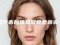 绍兴市自体耳软骨垫鼻尖医生上榜清单前十佳哪个口碑好-吴智南整形医生综合实力比较强