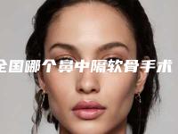 全国哪个鼻中隔软骨手术医院好：鼻中隔软骨手术医院前50佳整形机构名单公布
