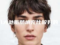 八大处脂肪填充比较好的医生合集走访盘点!专家TOP5技术实力出名、手术风格差异大不同