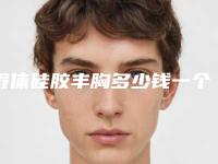 假体硅胶丰胸多少钱一个(假体硅胶丰胸多少钱一个月)