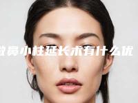 做鼻小柱延长术有什么优点
