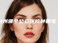台州哪个公立医院种眉毛专业?