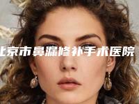 北京市鼻漏修补手术医院上榜名单花落谁个(北京方舟医疗美容连续上榜)