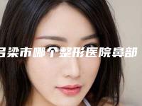 吕梁市哪个整形医院鼻部填充物取出术最好(文水县刘胡兰镇中心卫生院你比较看好哪一家)