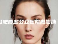合肥哪些公立医院做膨体隆鼻技术好?
