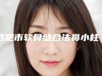 合肥市软骨缝合法鼻小柱延长手术价格解析与医院介绍
