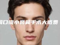 周口缩小鼻翼手术大概费用要多少呢