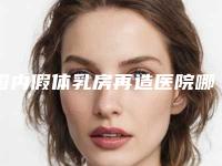 国内假体乳房再造医院哪家强:假体乳房再造医院top50汇集在此详细口碑反馈