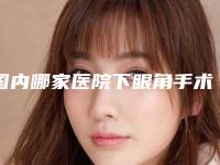 国内哪家医院下眼角手术好:下眼角手术医院前50佳深入了解