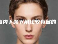 国内下颌下角比较有名的医生:下颌下角医生top50强私立汇总