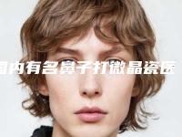 国内有名鼻子打微晶瓷医生：鼻子打微晶瓷医生50强评选出炉