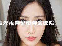 嘉兴禾美整形美容医院,桐乡李梦(颂丽)医疗美容诊所哪个医院好附案例