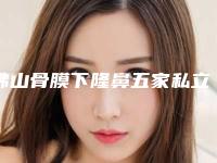 佛山骨膜下隆鼻五家私立医院任你选择,佛山东皇医疗美容名气大
