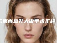 云南省鼻孔大做手术正规医院推荐：鼻孔大做手术医院top30口碑好不好
