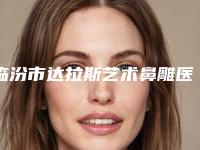 临汾市达拉斯艺术鼻雕医院排名榜top10强白名单发布(临汾丽都整形美容门诊部实力资质挨个分析)