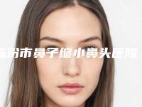 临汾市鼻子缩小鼻头医院在榜名单前十位推荐榜单一览-临汾市鼻子缩小鼻头整形医院