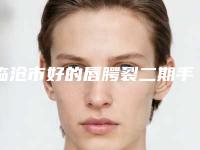临沧市好的唇腭裂二期手术修复医院-临沧悦她婕熹卡医疗美容诊所热度很高很省心