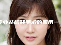 专业祛眼袋手术的费用一般在多少