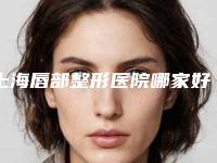上海唇部整形医院哪家好?医院排行榜一览!附名单及价目表查收