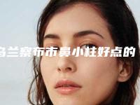 乌兰察布市鼻小柱好点的医院(乌兰察布韩雅医疗美容整形门诊部点赞推荐)