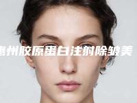 惠州胶原蛋白注射除皱美容收费怎样-惠州胶原蛋白注射除皱的价格是多少与哪些因素有关