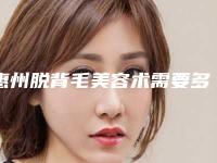 惠州脱背毛美容术需要多少钱,惠州脱背毛的费用会受到那些因素的影响