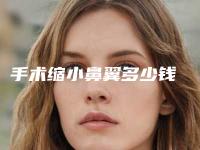 手术缩小鼻翼多少钱