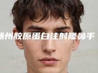 扬州胶原蛋白注射隆鼻手术的价格费用