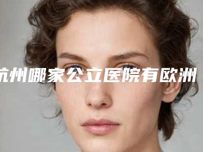 杭州哪家公立医院有欧洲之星4D,杭州市一医院有欧洲之星吗