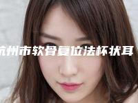 杭州市软骨复位法杯状耳矫正术医生前十名哪个名气高-韩冰医生实力真不错