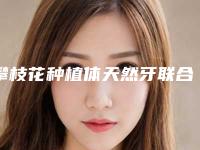 攀枝花种植体天然牙联合修复术适合人群和禁忌人有哪些