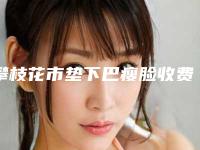 攀枝花市垫下巴瘦脸收费明细一同预览-近8个月均价为15984元