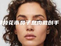 攀枝花市鼻子息肉微创手术费用表明细全新惊爆一览-攀枝花市鼻子息肉微创手术手术费用需要多少呢