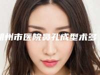 朔州市医院鼻孔成型术多少钱(朔州关东一派纹绣微整形美容机构TOP10稳中求胜)