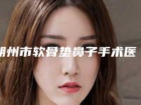 朔州市软骨垫鼻子手术医院排行榜专家上榜-朔州市软骨垫鼻子手术整形医院