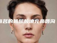 有名的玻尿酸填充鼻唇沟手术医生郑州市-郑州市雷菲菲整形医生
