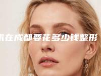 术在成都要花多少钱整形美容适合哪个年龄段做