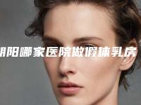 朝阳哪家医院做假体乳房再造较好?