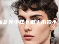 新乡鼻小柱下垂手术贵不贵大概需要多少钱