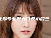 无锡专业做大口改小的三甲医院排行