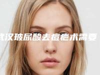 武汉玻尿酸去痘疤术需要多少费用「武汉玻尿酸去痘疤术的费用由哪些因素决定」