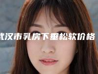 武汉市乳房下垂松软价格表2025出炉-武汉市乳房下垂松软手术多少钱最合理