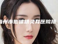 梅州市膨体精灵耳医院排行十强哪几家实力强（梅州市膨体精灵耳整形医院）