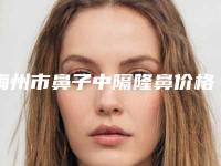 梅州市鼻子中隔隆鼻价格(价目)表2025医院简介(近6个月均价为：12620元)